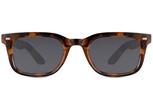 Cavaliere tortoise sunglasses